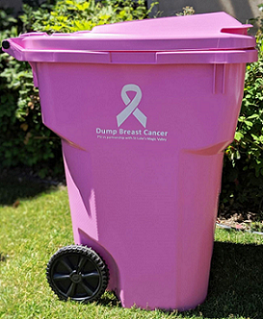 City's sale of pink garbage cans will promote breast cancer awareness, Local News